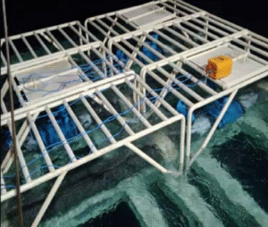 MARINE & JETTY PROJECT