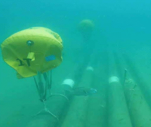 MARINE & JETTY PROJECT